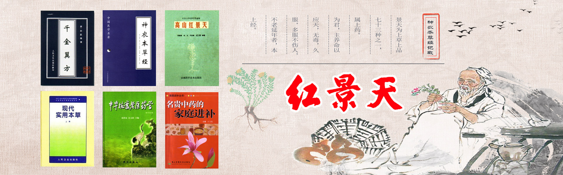 醫(yī)學(xué)典籍介紹紅景天